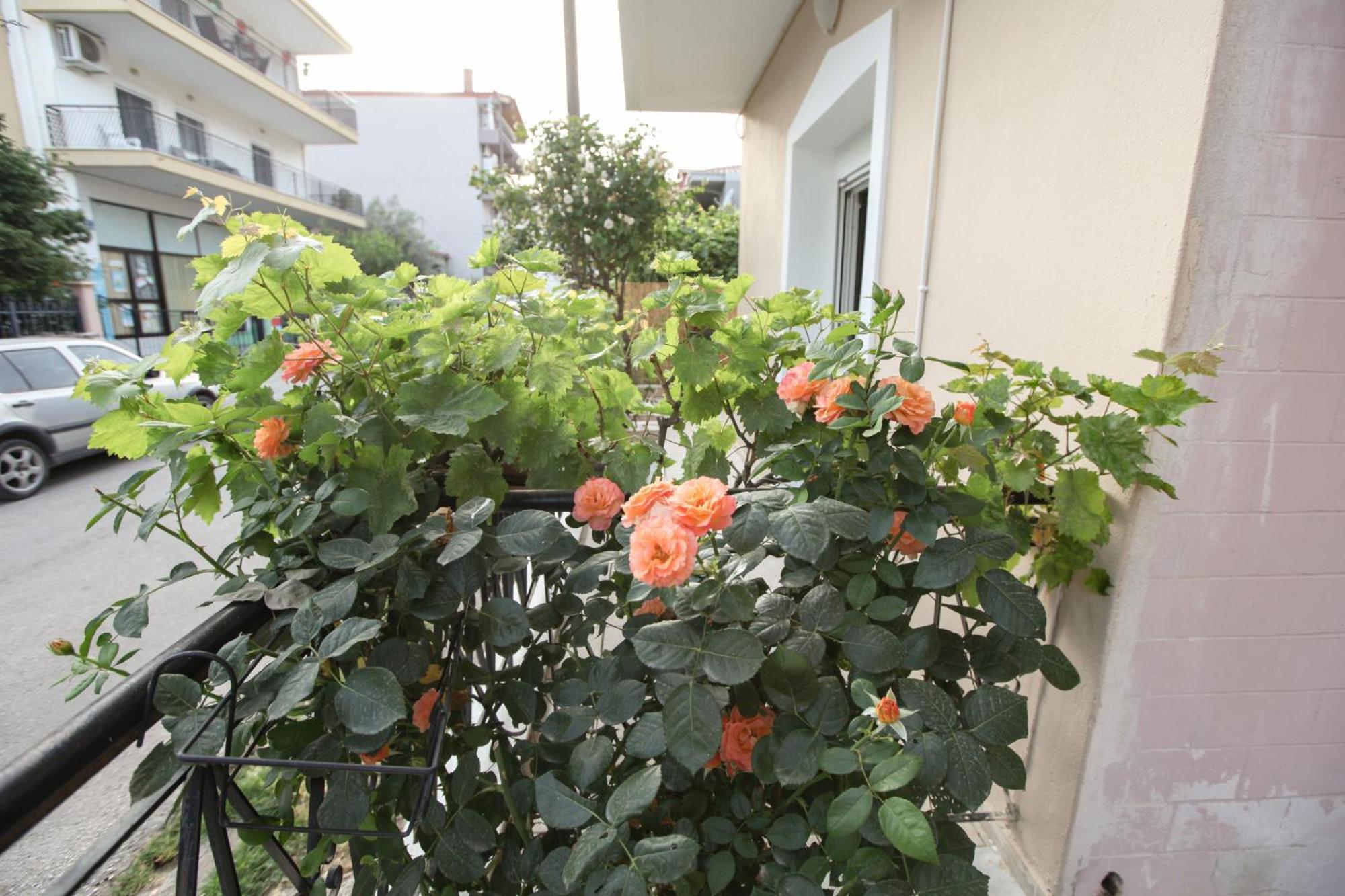 Apartmán Meteora Family Dream Kalambaka Exteriér fotografie